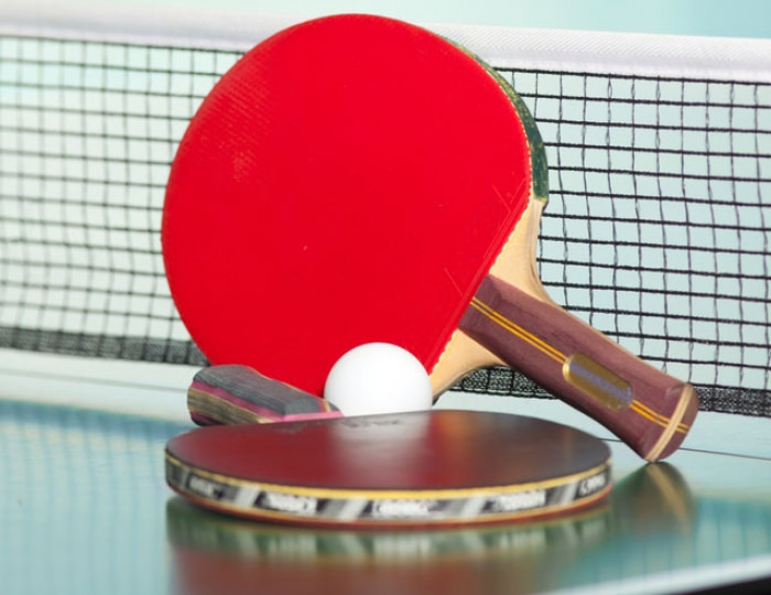 Настольный теннис - Парк-отель «Романова»