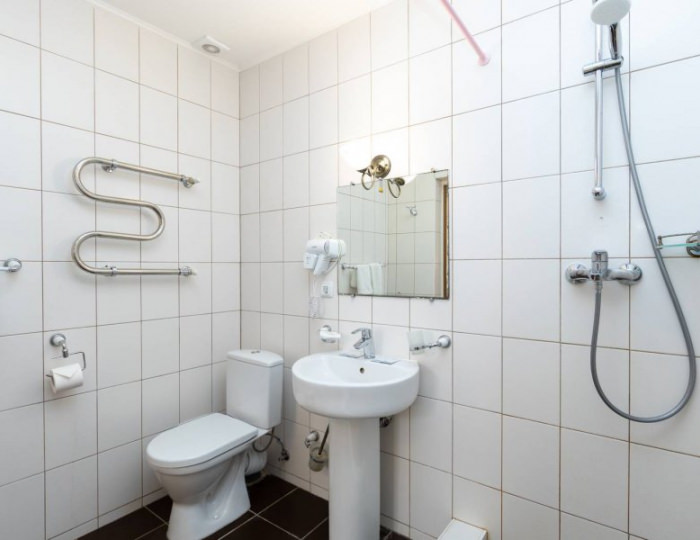 Стандарт мини - Парк-отель «Романова»