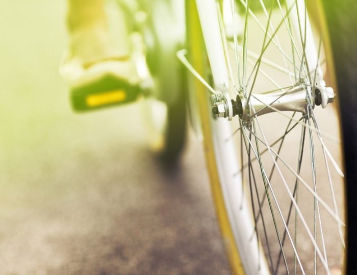 Прокат - Парк-отель «Романова»