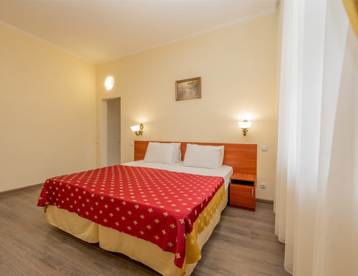 Полулюкс без балкона - Парк-отель «Романова»