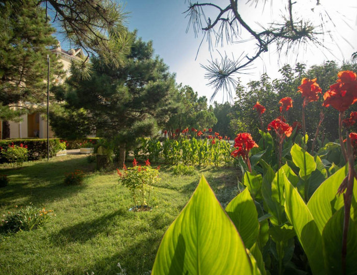 Контакты - Парк-отель «Романова»